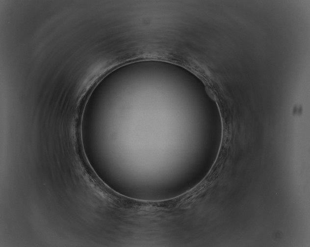 X0000091670098200708301507