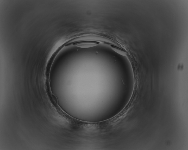 X0000091670102200708301507
