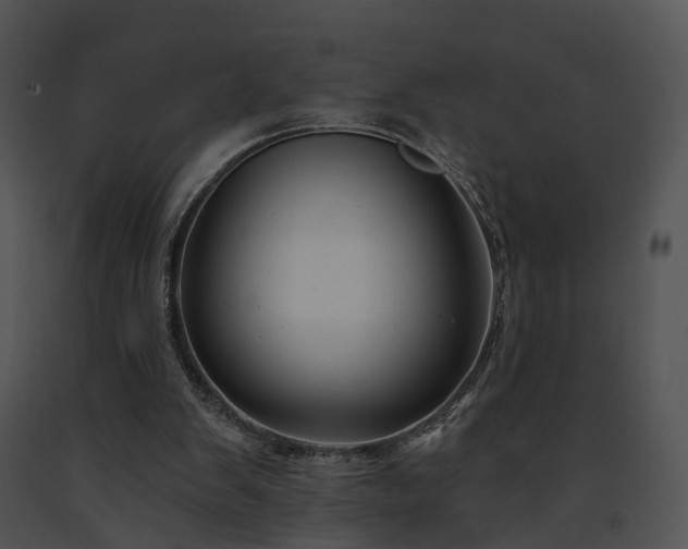 X0000091670103200708301507