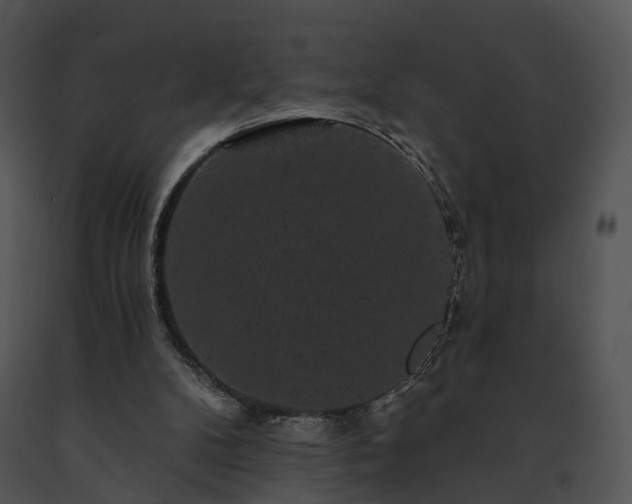 X0000091670104200708301507
