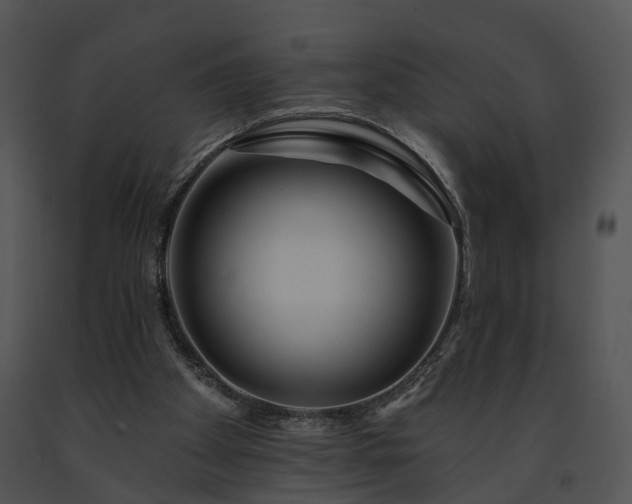 X0000091670105200708301507