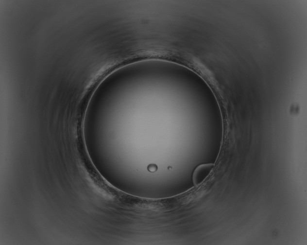 X0000091670106200708301507