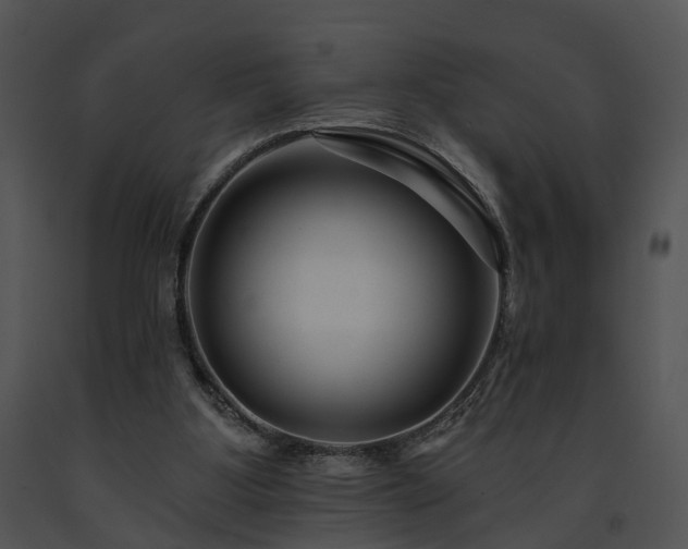 X0000091670107200708301507