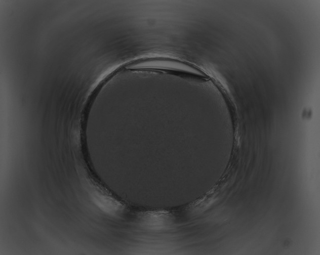 X0000091670108200708301507