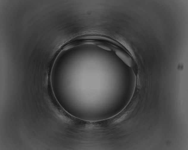 X0000091670109200708301507