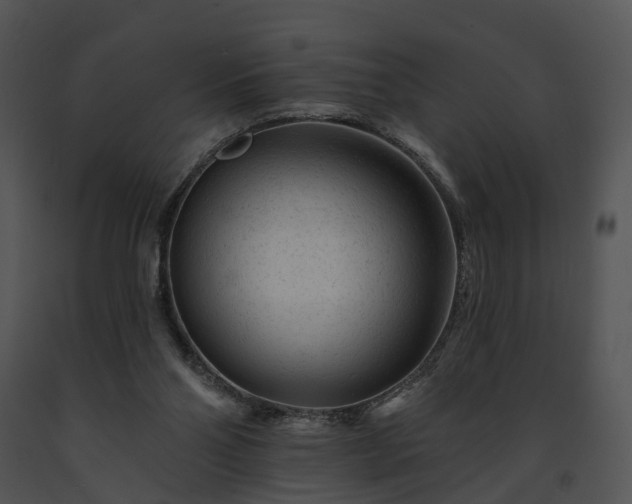 X0000091670110200708301507