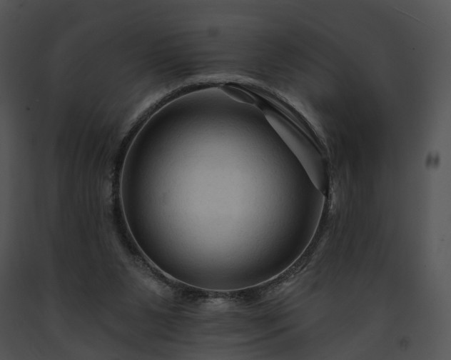 X0000091670111200708301507