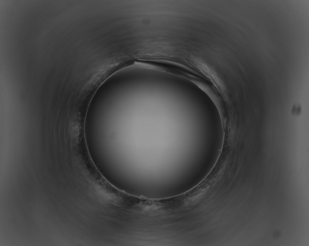 X0000091670113200708301507