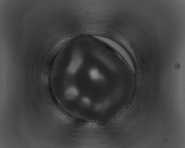 X0000091670114200708301507