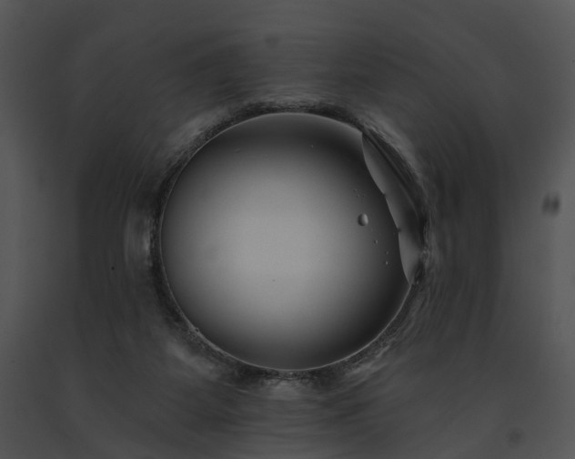 X0000091670115200708301507