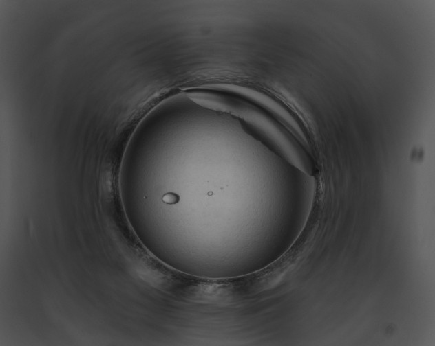 X0000091670117200708301507