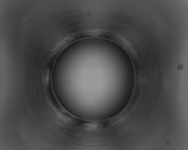 X0000091670118200708301507