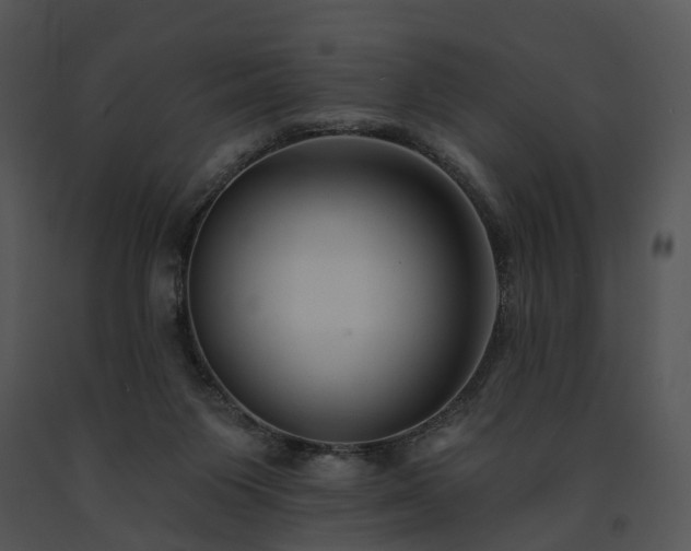 X0000091670119200708301507