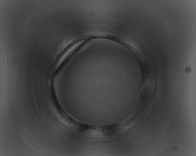 X0000091670120200708301507