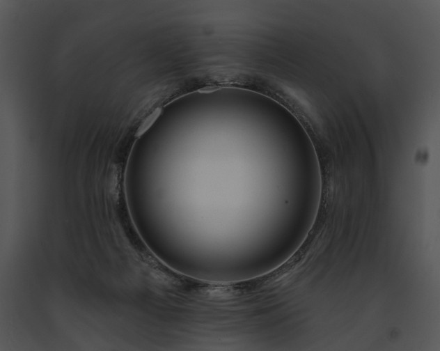 X0000091670121200708301507