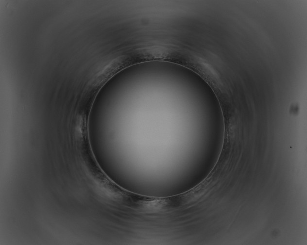 X0000091670122200708301507