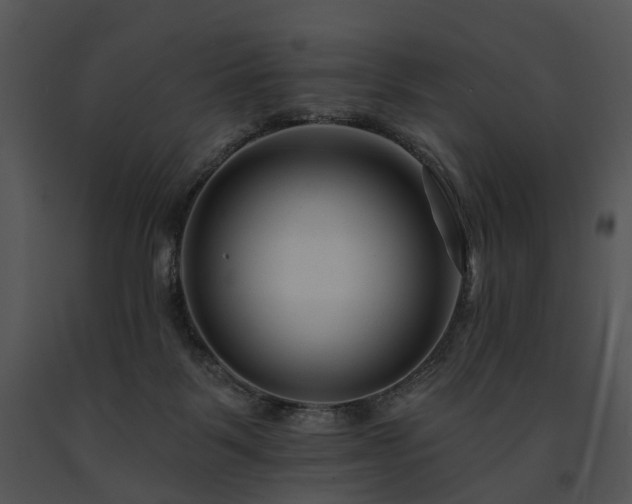 X0000091670123200708301507