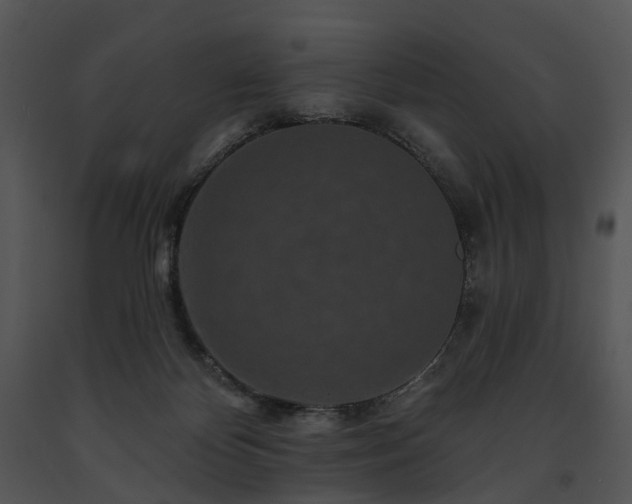 X0000091670124200708301507