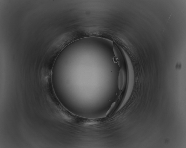 X0000091670125200708301507