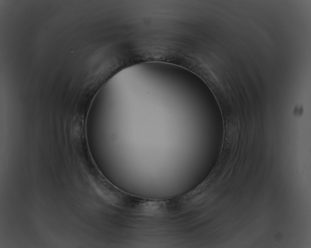 X0000091670126200708301507