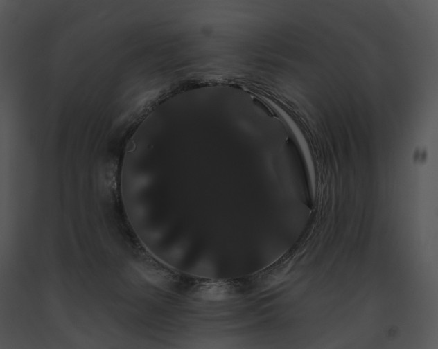 X0000091670127200708301507
