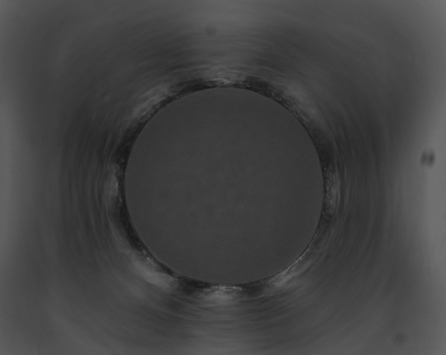 X0000091670128200708301507