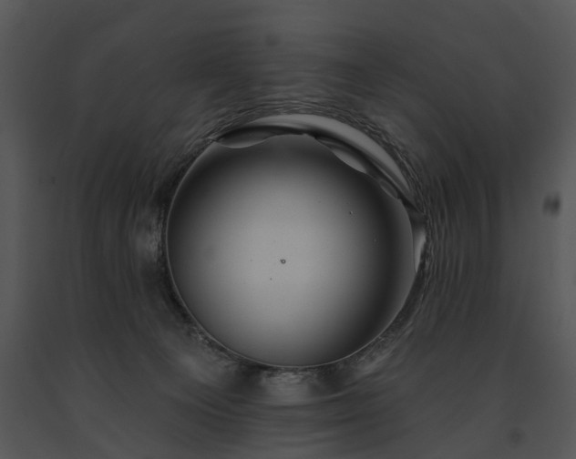 X0000091670129200708301507