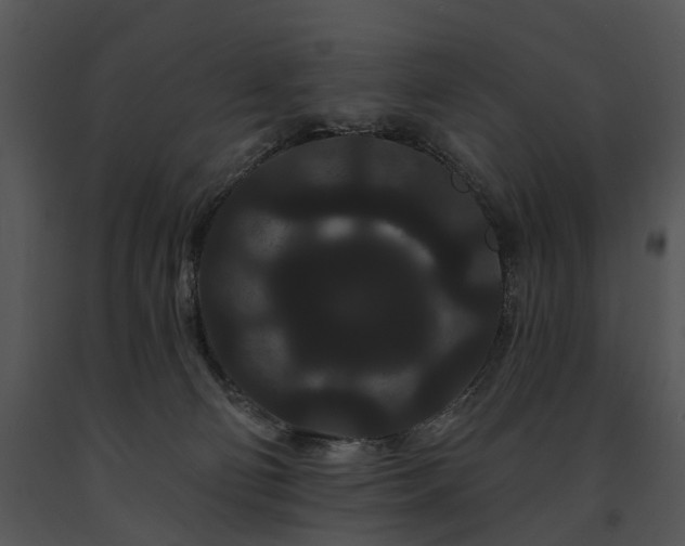 X0000091670130200708301507
