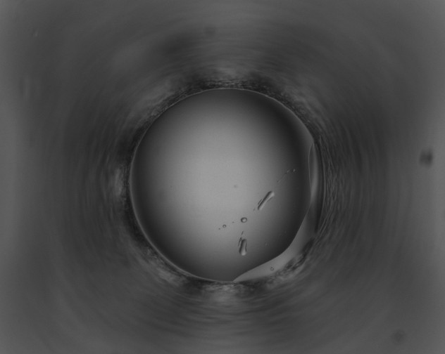 X0000091670131200708301507
