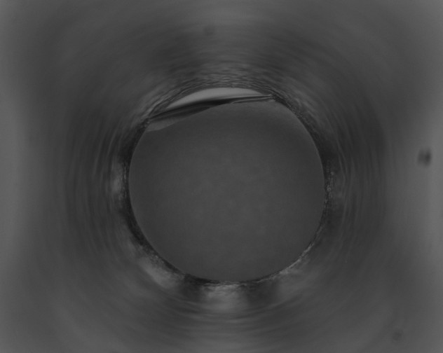 X0000091670132200708301507