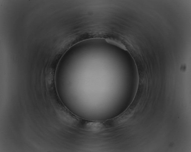 X0000091670133200708301507