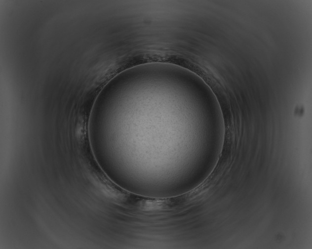 X0000091670134200708301507
