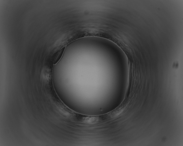 X0000091670135200708301507