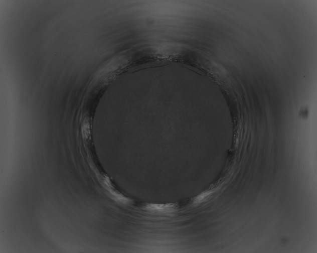 X0000091670137200708301507