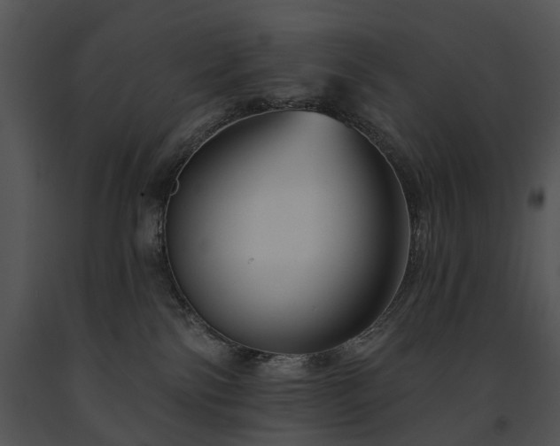 X0000091670138200708301507