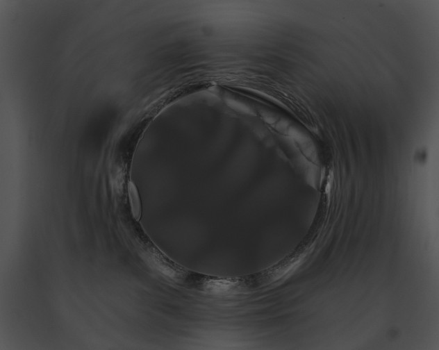 X0000091670139200708301507