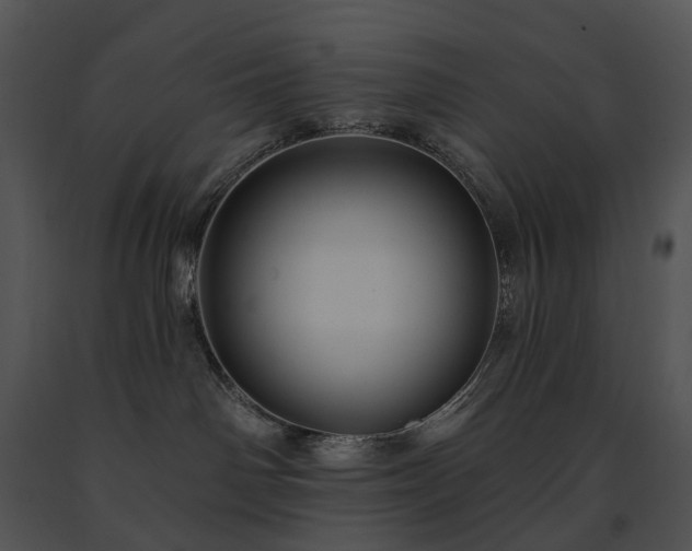 X0000091670142200708301507
