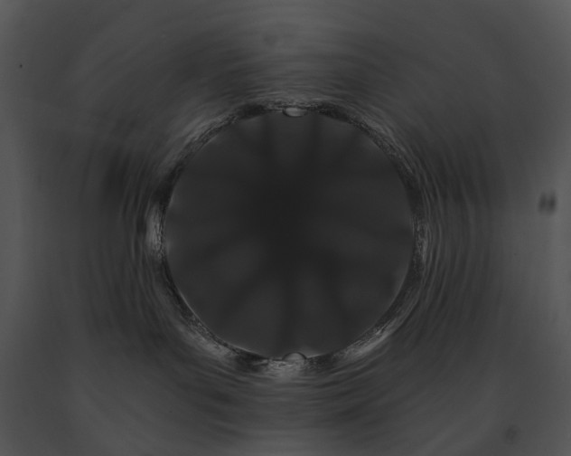 X0000091670143200708301507