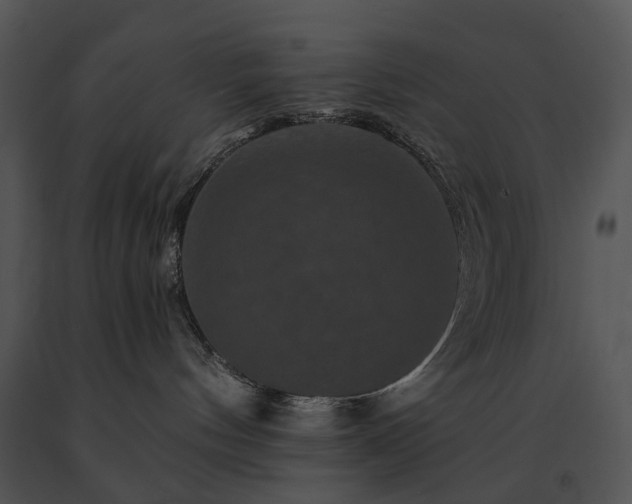 X0000091670144200708301507