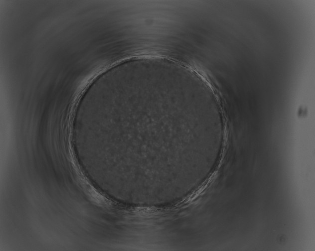 X0000091670145200708301506