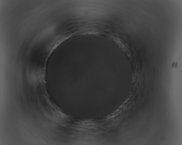 X0000091670146200708301506