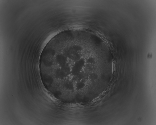 X0000091670147200708301506