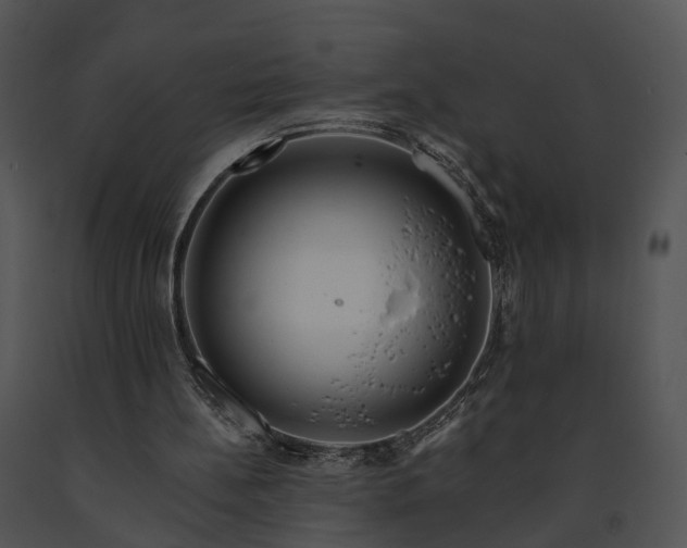 X0000091670148200708301506