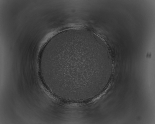 X0000091670149200708301506