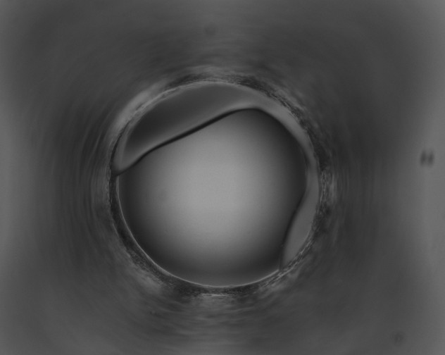 X0000091670150200708301506