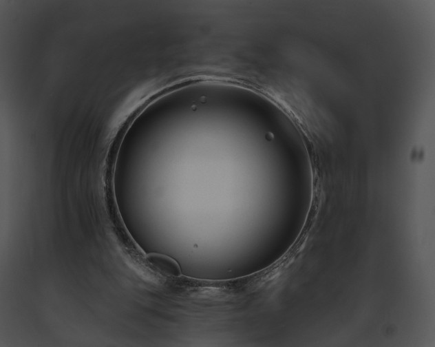 X0000091670151200708301506