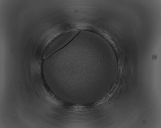 X0000091670154200708301506