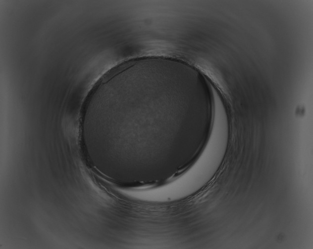 X0000091670156200708301506