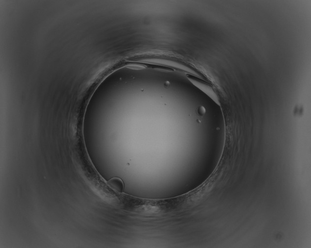 X0000091670159200708301506