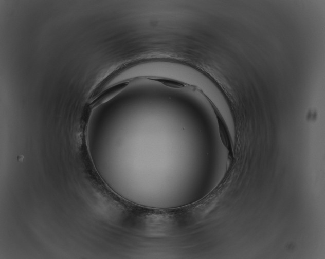 X0000091670160200708301506
